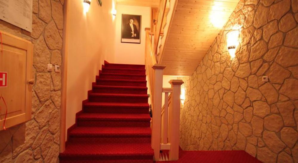 Penzion Horský Vidly 4*