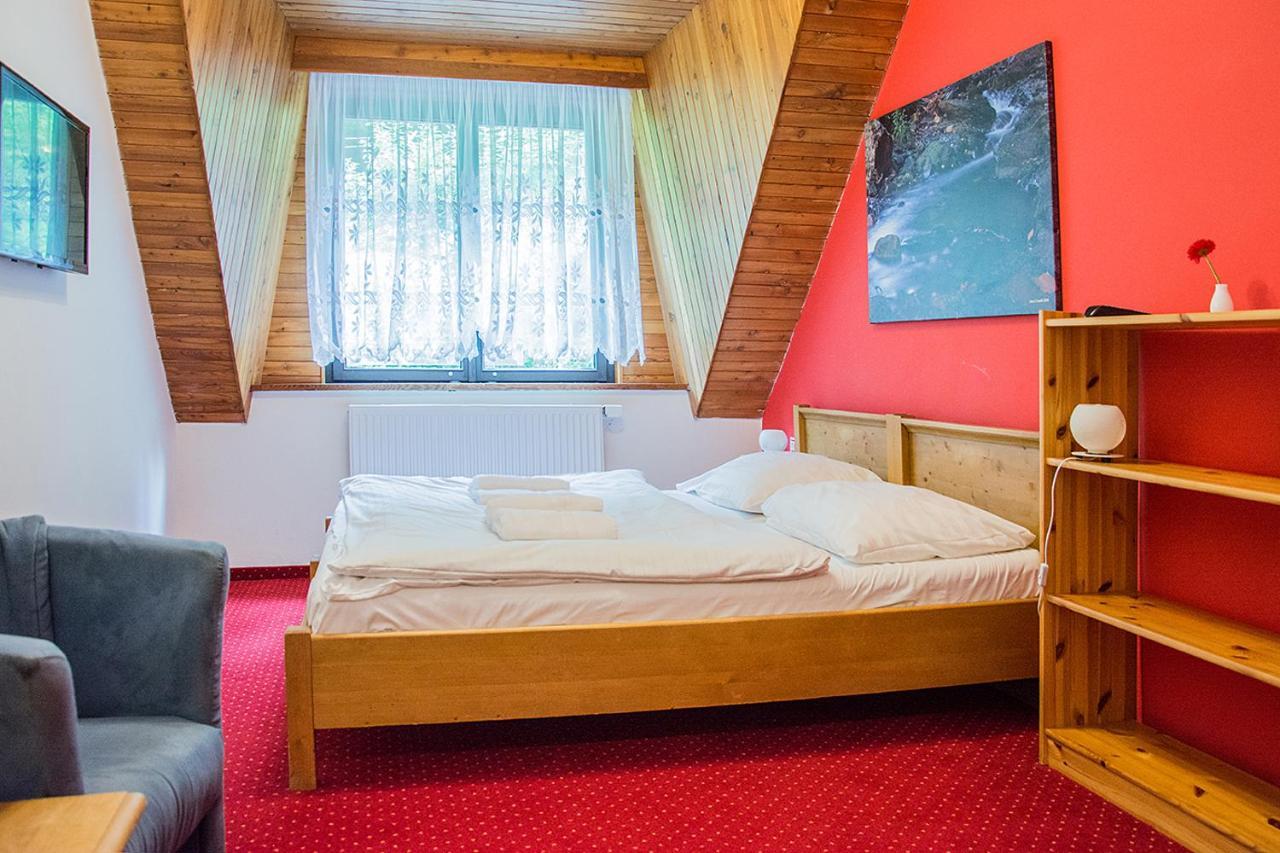 Penzion Horský Vidly 4*